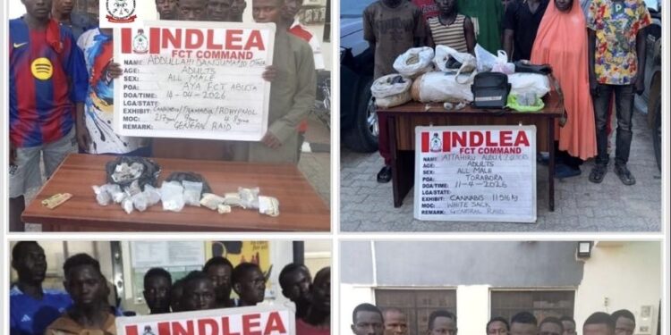 NDLEA Busts Abuja Drug Networks, Arrests 132 Suspects, Seizes 220kg Illicit Substances