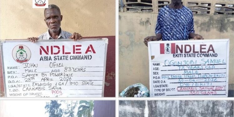NDLEA Arrests Octogenarian Drug Suspects, Seizes Massive Illicit Consignments in Nationwide Crackdown