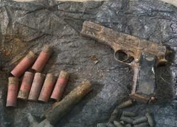 Troops Foil Terrorist Attack, Recover Arms And Ammunition In North East Operations