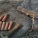 Troops Foil Terrorist Attack, Recover Arms And Ammunition In North East Operations