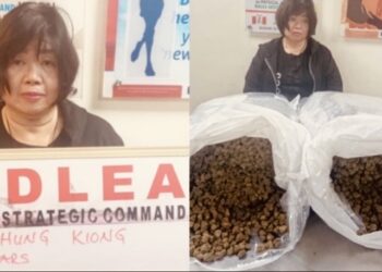 NDLEA Arrests Chinese Grandmother At Lagos Airport, Seizes N2.1bn Opioids From India