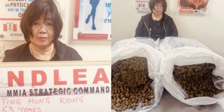 NDLEA Arrests Chinese Grandmother At Lagos Airport, Seizes N2.1bn Opioids From India