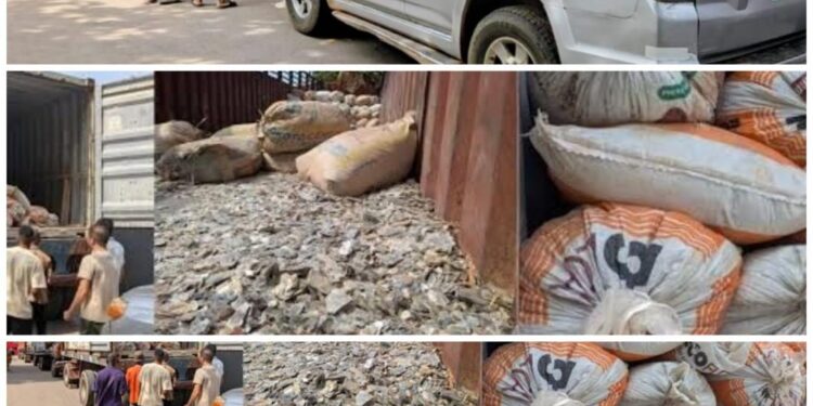 Court Orders Final Forfeiture Of Illegal Mining Site, Lithium Haul, Trucks To Federal Government