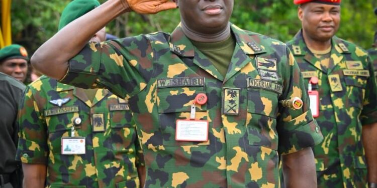 Troops Must Deny Criminals Freedom To Operate — COAS