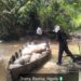 Operation Delta Sentinel: Nigerian Navy Recovers 22,870 Litres of Illegally Refined AGO, Disrupts Fuel Smuggling Network in Rivers