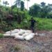 NNS SOROH Operatives Uncover Concealed Fuel Stockpiles In Rivers State
