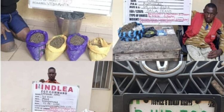 NDLEA Arrests Two PWDs In Drug Trafficking Crackdown, Intercepts Cocaine-Laced Clothing From Brazil