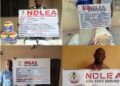 NDLEA Nets Wanted Couple, Elderly Drug Dealers, Seizes Massive Cannabis Hauls