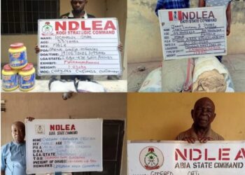 NDLEA Nets Wanted Couple, Elderly Drug Dealers, Seizes Massive Cannabis Hauls