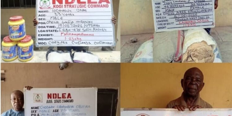NDLEA Nets Wanted Couple, Elderly Drug Dealers, Seizes Massive Cannabis Hauls