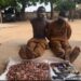 Troops Neutralize Terrorist, Arrest Nine Suspects And Recover Weapons In Zamfara Operations