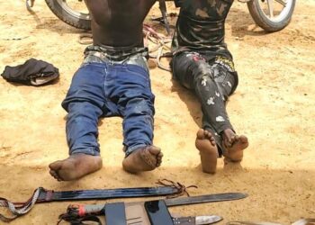 Troops Crush Bandits, Recover Rustled Livestock, Restore Order In Kaduna