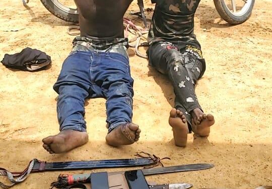 Troops Crush Bandits, Recover Rustled Livestock, Restore Order In Kaduna