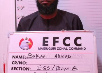 Court Jails Man 10 Years For N2.95 Million Crypto Investment Fraud In Maiduguri