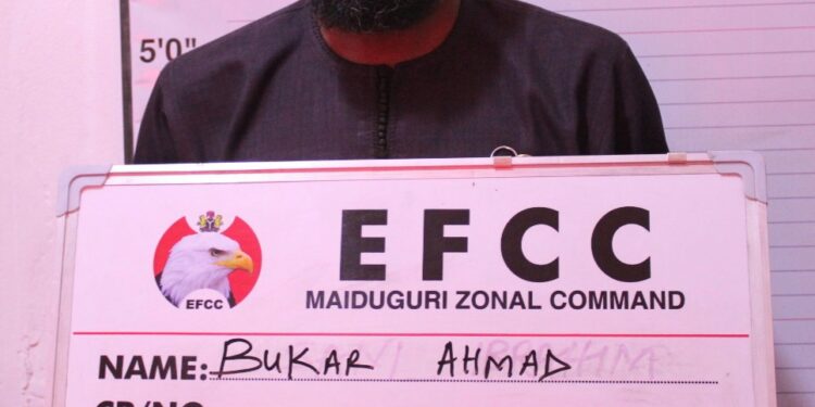 Court Jails Man 10 Years For N2.95 Million Crypto Investment Fraud In Maiduguri
