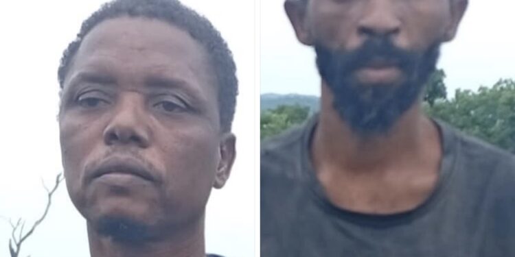 Operation Savannah Shield Records Major Success As Troops Rescue Kidnap Victims
