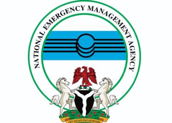 NEMA Activates Emergency Reception Plan As Nigerian Returnees Arrive From South Africa