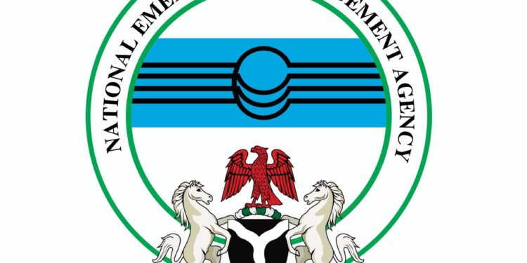 NEMA Activates Emergency Reception Plan As Nigerian Returnees Arrive From South Africa