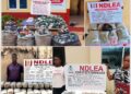 NDLEA Intercepts Massive Opioid Consignment In Taraba, Arrests 75-Year-Old Drug Dealer And Female Traffickers Nationwide