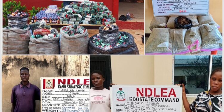 NDLEA Intercepts Massive Opioid Consignment In Taraba, Arrests 75-Year-Old Drug Dealer And Female Traffickers Nationwide