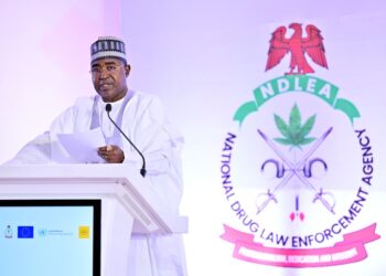 President Tinubu Reaffirms Commitment to Drug War as NDLEA Seizes N1.5 Trillion Worth of Illicit Drugs