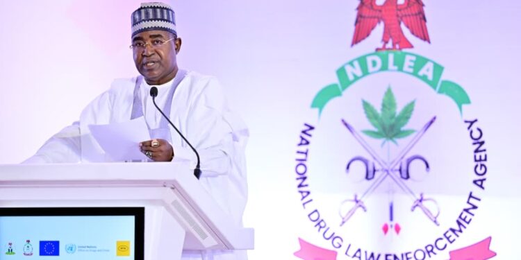 President Tinubu Reaffirms Commitment to Drug War as NDLEA Seizes N1.5 Trillion Worth of Illicit Drugs
