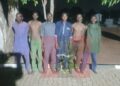 Troops Crush Terrorist Activities, Arrest Eight Collaborators, Recover 110 Rustled Cattle