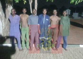 Troops Crush Terrorist Activities, Arrest Eight Collaborators, Recover 110 Rustled Cattle