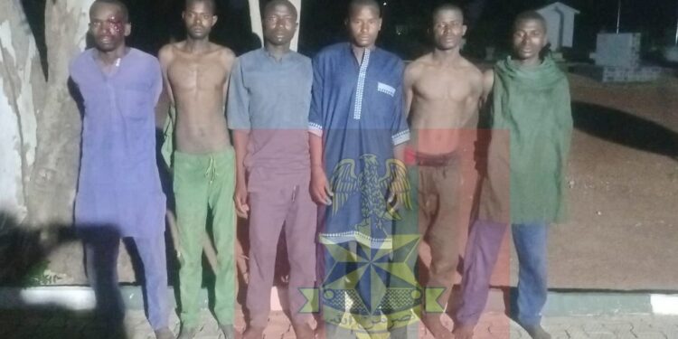 Troops Crush Terrorist Activities, Arrest Eight Collaborators, Recover 110 Rustled Cattle
