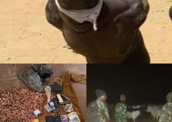 Operation FANSAN YAMMA Intercepts Arms Courier, Recovers Over 1,000 Rounds Of Ammunition, Foils Cattle Rustling In North-West Operations