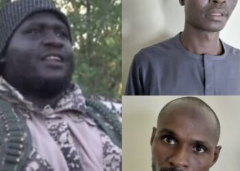 OPHK Secures Surrender Of Two ISWAP Commanders, Neutralises Shurah Council Member