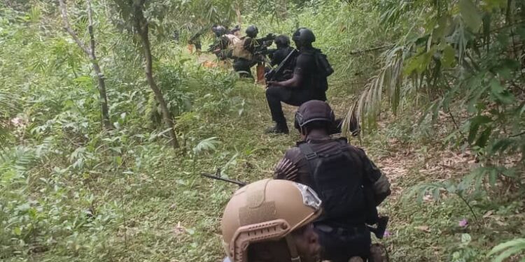 Operation Delta Sentinel: Nigerian Navy Recovers 39,500 Litres of Suspected Stolen Crude, Dismantles Illegal Storage Network in Rivers