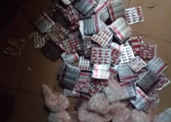 Troops Strike Terrorists in Katsina, Rescue Abductee and Recover 126 Rustled Livestock