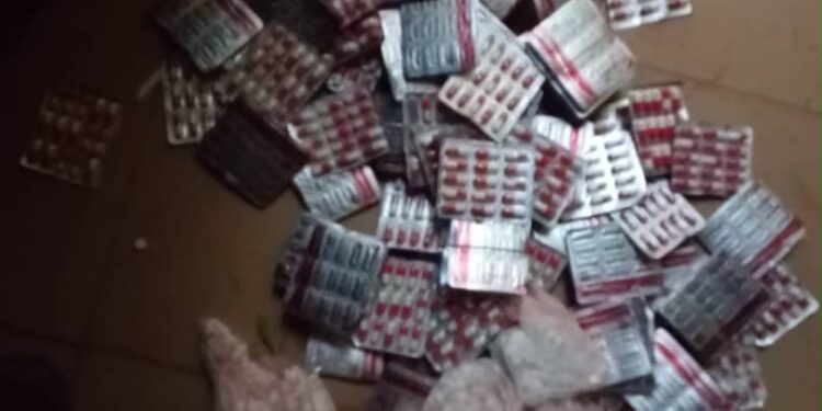 Troops Strike Terrorists in Katsina, Rescue Abductee and Recover 126 Rustled Livestock