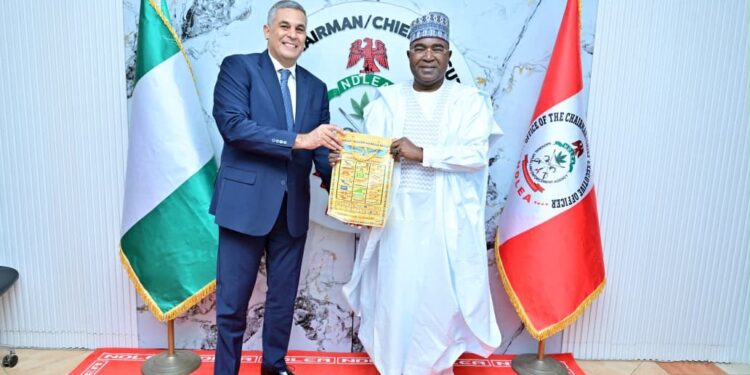 Nigeria, Egypt Partner to Intensify Crackdown on Drug Syndicates