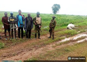 Operation WHIRL STROKE Enforces Zero Tolerance on Farm Encroachment, Arrests Suspects