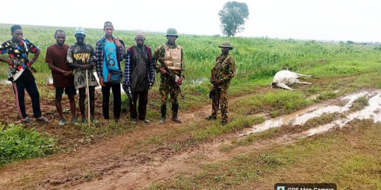 Operation WHIRL STROKE Enforces Zero Tolerance on Farm Encroachment, Arrests Suspects