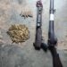 Troops Recover Arms, Ammunition as Operation UDO KA Raids Criminal Hideout in Rivers