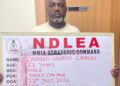 Major NDLEA Crackdown Nets ₦10bn Drugs, 401 Rounds of Ammunition and Suspected Traffickers