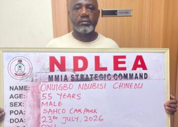 Major NDLEA Crackdown Nets ₦10bn Drugs, 401 Rounds of Ammunition and Suspected Traffickers