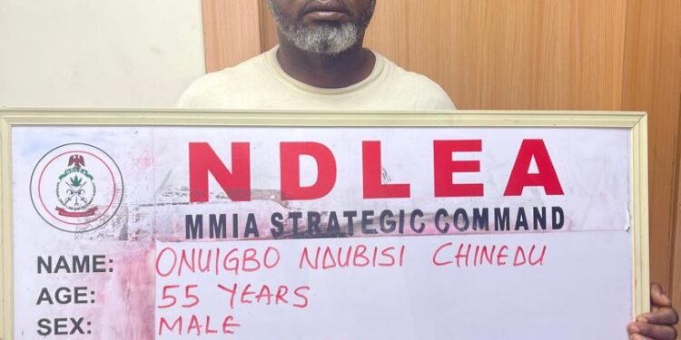 Major NDLEA Crackdown Nets ₦10bn Drugs, 401 Rounds of Ammunition and Suspected Traffickers