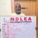 Major NDLEA Crackdown Nets ₦10bn Drugs, 401 Rounds of Ammunition and Suspected Traffickers