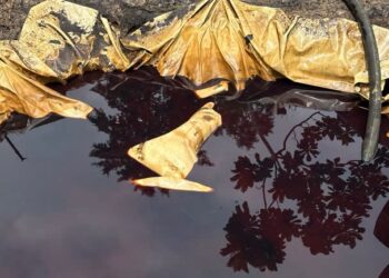 Navy Crushes Fresh Attempt to Reactivate Illegal Refining Sites, Recovers Over 126,000 Litres of Petroleum Products in Rivers State