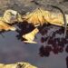 Navy Crushes Fresh Attempt to Reactivate Illegal Refining Sites, Recovers Over 126,000 Litres of Petroleum Products in Rivers State
