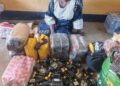 Troops of OPHK Busts Suspected Terrorist Logistics Network, Arrests Foreign Courier