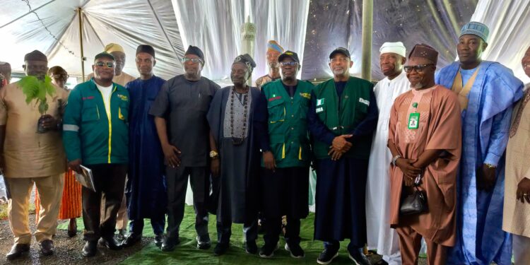 FG Launches One Million Climate-Smart Cocoa Seedlings to Revive Industry, Boost Exports
