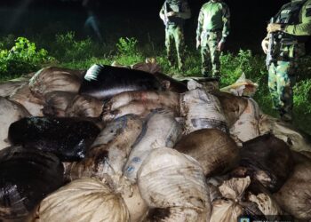 Nigerian Navy Foils Illegal Fuel Network, Seizes 11,800 Litres of AGO in Rivers