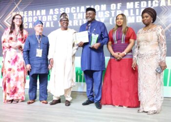 NiDCOM Rewards Diaspora Excellence, Recognises 32 for Advancing Nigeria’s Development