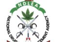 NDLEA Debunks Fake Auction Offers, Warns Public to Stay Vigilant