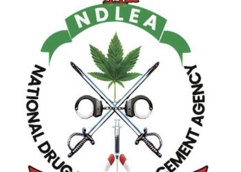 NDLEA Debunks Fake Auction Offers, Warns Public to Stay Vigilant